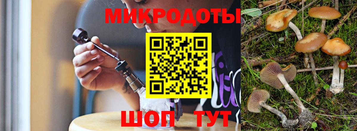 Псилоцибиновые грибы Psilocybine cubensis  Вход с VPN  Белово 