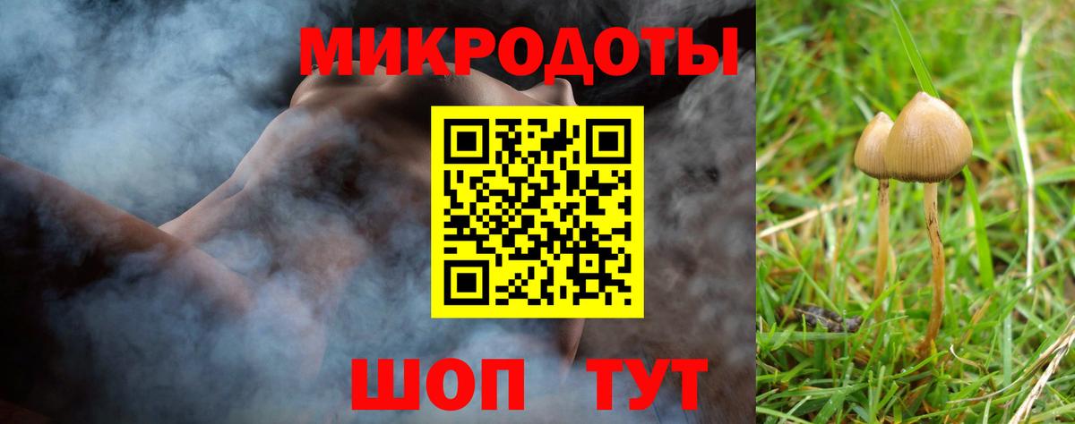 Галлюциногенные грибы мицелий Белово